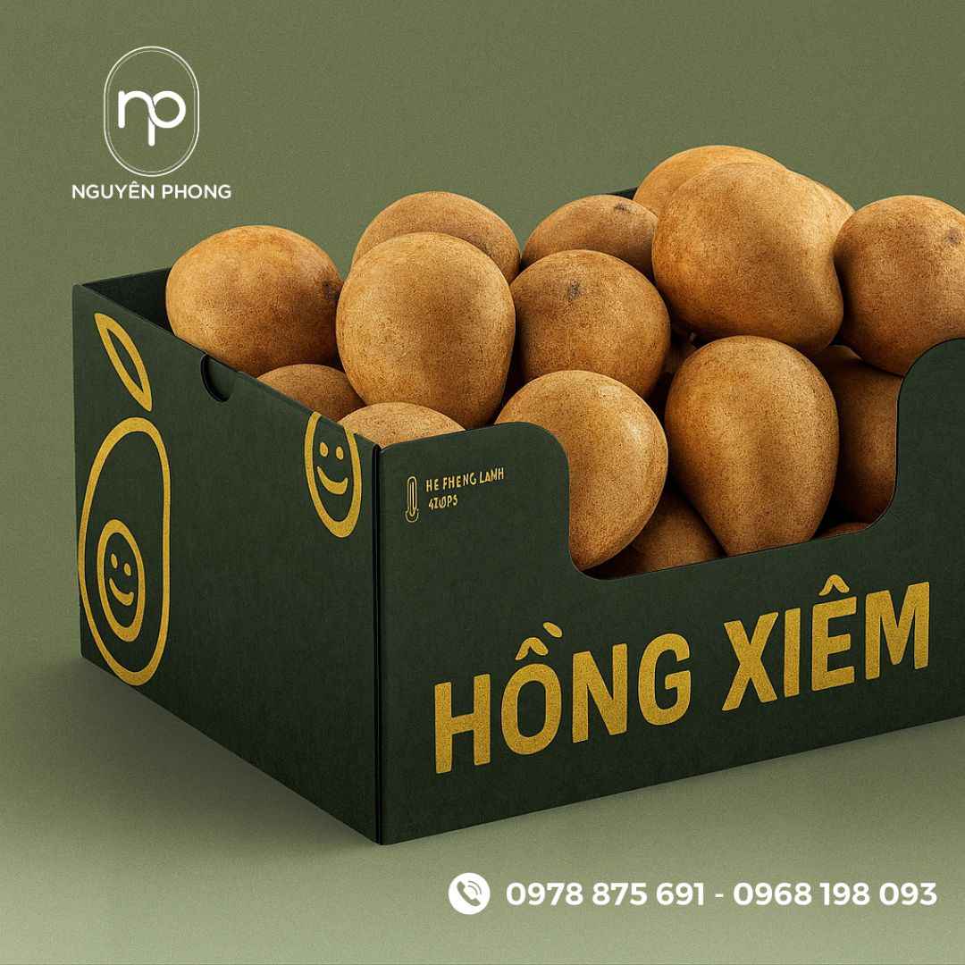 Mẫu thùng carton đựng hồng xiêm 